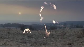 Sully Erna - The Departed