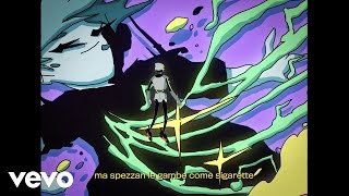 Cover art for R()t()nda / rotonda