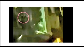Las Vegas Alien Faces Revealed