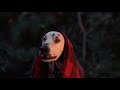 K9 Advantix II 2019 Campfire Commercial 30
