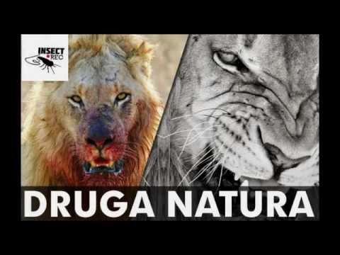 INSECT - druga natura (con3x,Mateo,Pacek) 2012