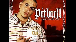 Pitbull Welcome to The 305 (Full Album)