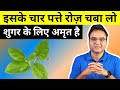 Diabetes Control Tips: Lower Your Blood Sugar Naturally With This Amazing Ayurvedic Herb