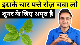 Diabetes Control Tips: Lower Your Blood Sugar In 90 Days With This Amazing Ayurvedic Herb