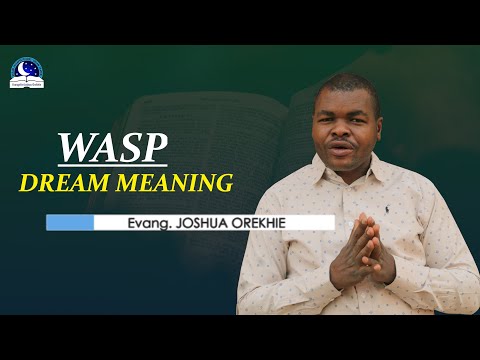 Wasps Dream Meaning - Spiritual and Biblical Interpretation
