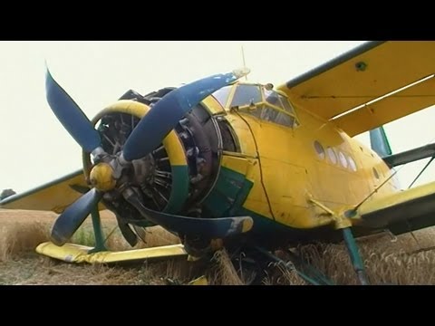 Lezuhant An-2-es roncsa