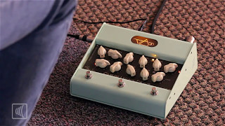 Video thumbnail for VLD1 Legacy Drive Preamp Pedal - Direct-to-PA System Demo by Carvin Amps & Audio