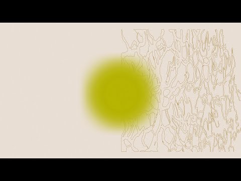 Šri Činmoja personība un Sirds meditācija. Valdis Svirskis