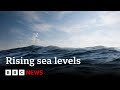 Sea Levels Rose More Than Expected In 2024 BBC News