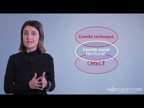 Reform of the local civil service - social dialogue