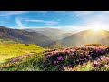 Mojave Morning - Golana