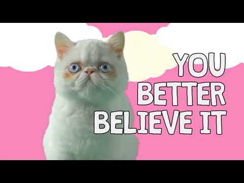 Krazy Kitty - From Air Bud TV - (Re-uploaded)