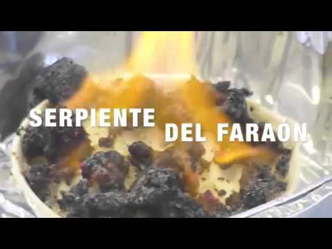 Ciencia Sorprendente