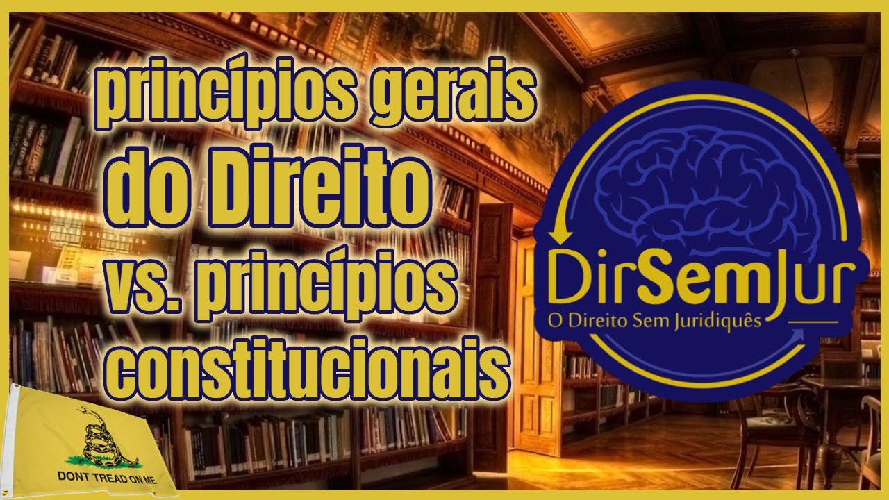 Qual a diferença entre "princípios gerais do Direito" e "princípios constitucionais"?