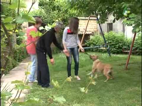 Dobri vecar, Vojvodino 5.6.2014. - Добри вечар, Войводино 5.6.2014.