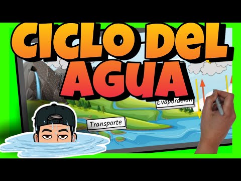 💧 El CICLO del AGUA para NIÑOS de PRIMARIA