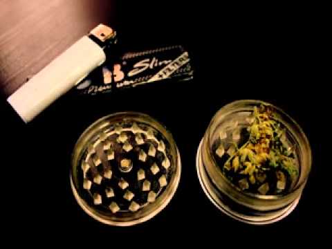 Młody PSZ - Kilka słów o