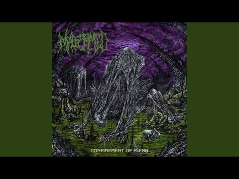 Play Video Youtube Video