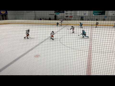 Pelicans Turkoosi 1 AAA - Tappara sininen 24.11.19 3 Erä Laune