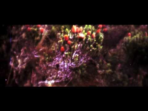 Da Pawn - Dibujo por Hoy (Video Oficial)