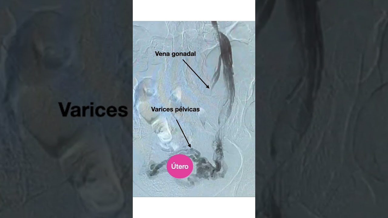 Maria Luisa Robles Martín-7