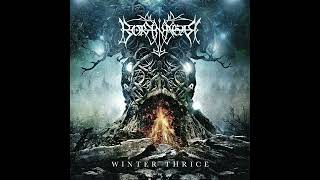 Borknagar - 6 Erodent | Winter Thrice 2016 #progressivemetal #blackmetal