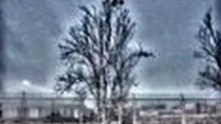 ¡ ¡ ¡ NO DEJES ESCAPAR TUS SUEÑOS... ! ! ! (Brisa de otoño-Mago de Oz)