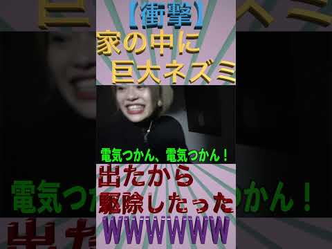 ヴァングヌ巨大ネズミ、初めて撮影