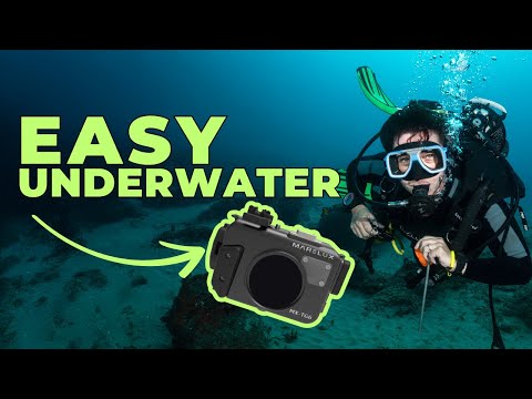 Underwater Photography Made EASY! Best camera for beginners
