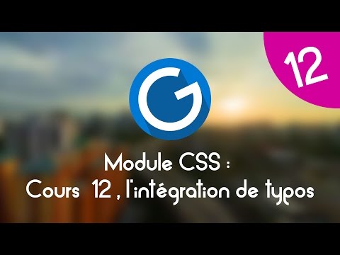 Formation IMM Module CSS Cours tuto 12 intégration de typos font face