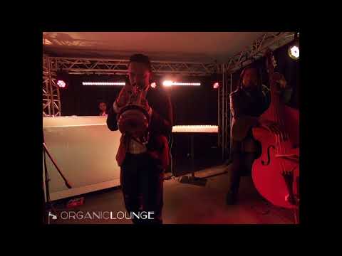 Organic Lounge : DJ, Trumpet, Double Bass - Live Jam of Shallou