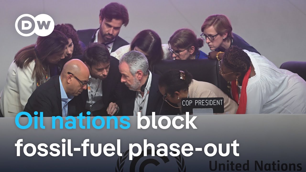 COP30 seals climate deal that sidesteps phase-out of fossil fuels | DW News
