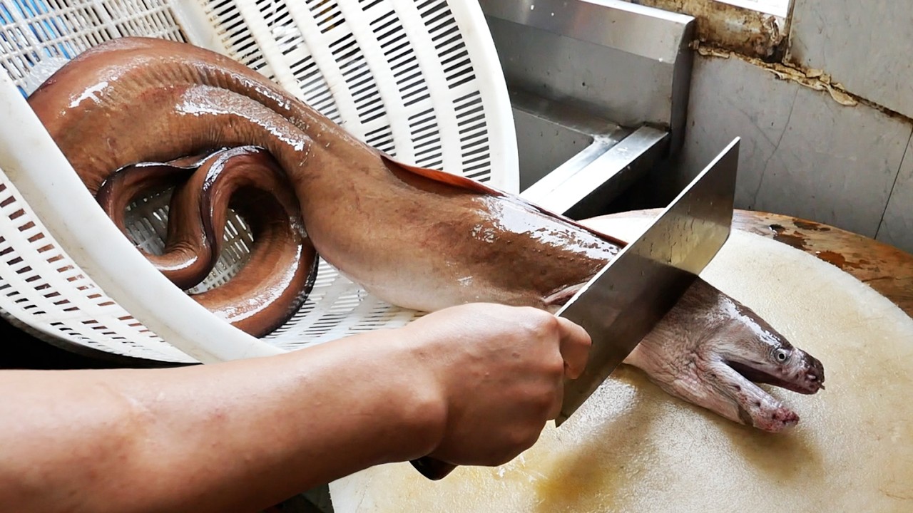 GIANT RED MORAY EEL Chinese Street Food