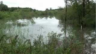 preview picture of video '- Hochwasser - Anstieg in der Feldkirchener Aue am  26.8.12'