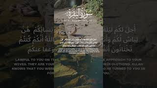 Download lagu Surah Al Baqarah verse 187 (1) [Recitation of Quran] #quranrecitation #quranverses #translation mp3