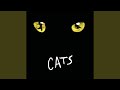 The Naming of Cats