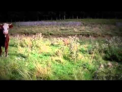 Lepsa Cazare - Cazat.ro