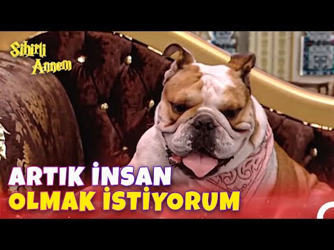 Taci'nin Boşanma Kararı Dudu'yu Derinden Sarstı - Sihirli Annem