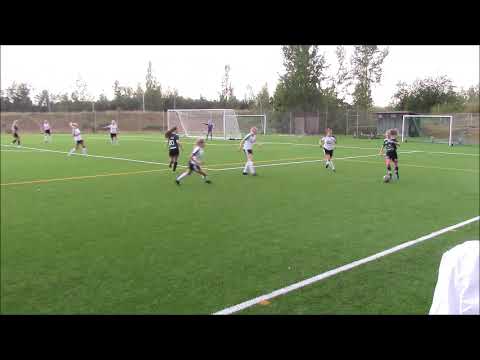 JyPK/2 - Pallokissat