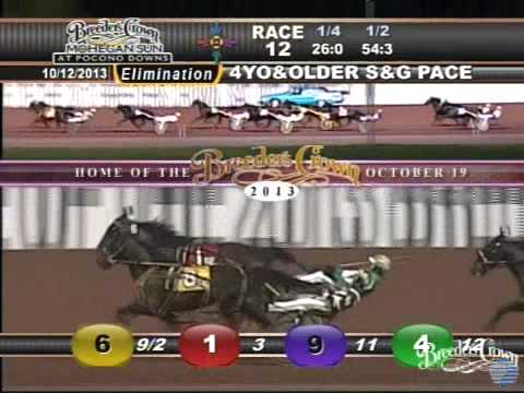 Foiled Again - 2013 Breeders Crown Elimination - Older Pacing Horses & Geldings