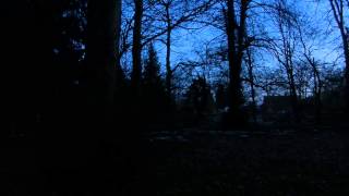 Blackbird Singing in the Dead of Night - Rick Wakeman