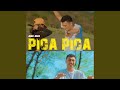PICA PICA