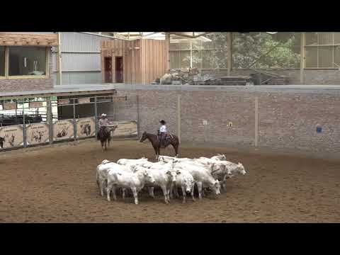 Jana Nováková Anything Like Me