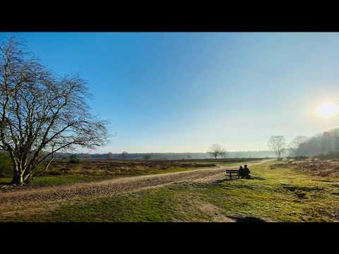 Opwekking 47 Omdat Hij leeft