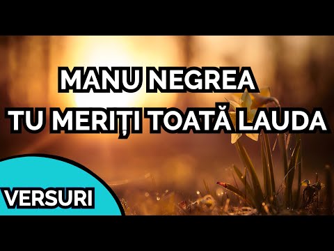 Manu Negrea-Tu meriți toată lauda(VERSURI)