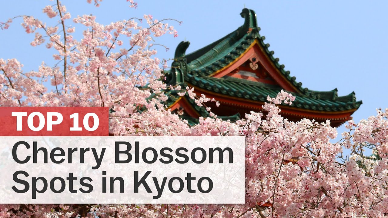 Top 10 Cherry Blossom Spots in Kyoto