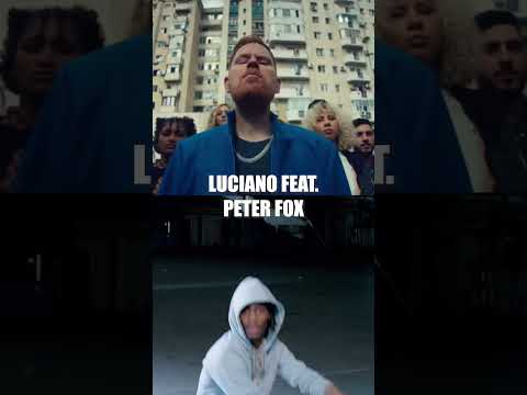 Bamba - Luciano (feat. Peter Fox) Prod. Philemon #shorts #trends #peterfox #luciano