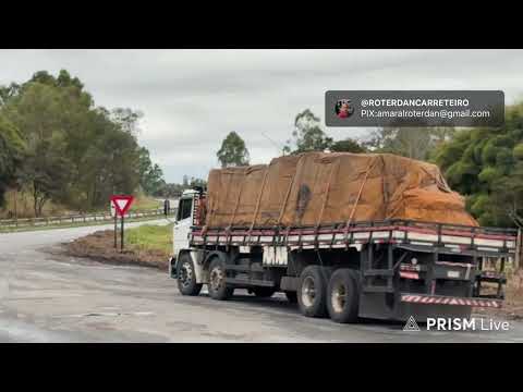🚛AO VIVO:(Parte 4) BRF Paranaguá → Vitória de Santo Antão -PE