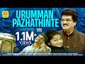 ഉറുമാൻ പഴത്തിന്റെ Urumman Pazhathinte Muthu Habeebi Monjathi Saji Mi