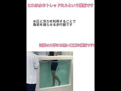理学療法士は何?